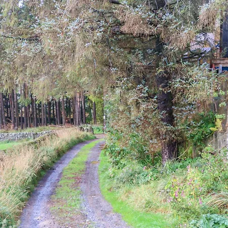 The Warren Barn * 리펀