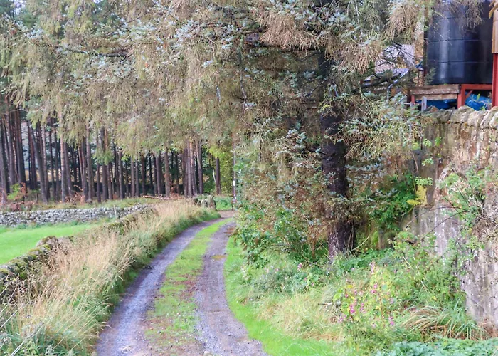 The Warren Barn * 리펀